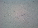 image10
