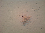 image11