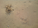 image14