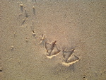 image15